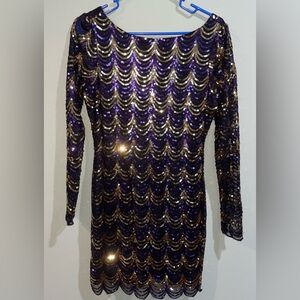 Charlotte Ruse sequence long sleeve above knee dress (I’m 5’4) size M.